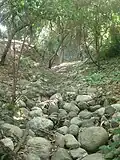 Dry creek bed at Orcutt Ranch.