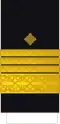 Admiral Croatian Navy[32]
