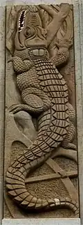 Saupique's crocodile