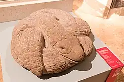 Cuauhcoatl