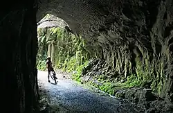 Today's timber trail in the curved tunnel of the Ongarue Spiral