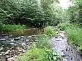 Dūkšta river