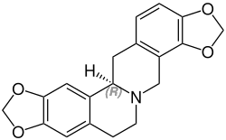 d- or (+)-Stylopine.