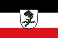 Flag of Aindling