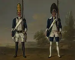Grenadiers, German Infantry Battalion Schwartzburg-Rudolstadt and Walloon Grenadiers (Dutch)