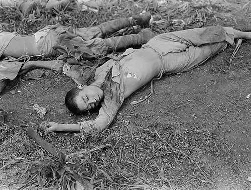 Japanese dead