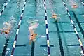 Swimming