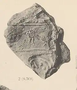 Griffin seal impression. Susa, Iran. 4th millennium B.C..
