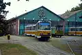 Two preserved examples in a Timișoara depot, 2007