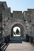 Despot's Gate