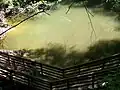 Boardwalk by the sinkhole
