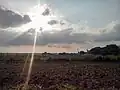 Sunshine view