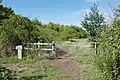 Dog walking area