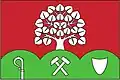 Flag of Domašín
