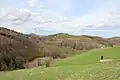 Donje Leskovice - panorama