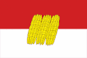 Flag of Dorogobuzhsky District