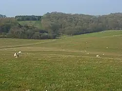 Combe Wood and Linkenholt Hanging