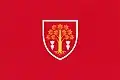 Flag of Biruința