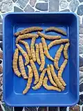 Dried Waigaon Turmeric fingers