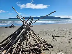 Driftwood fort with Kapiti Island in the background