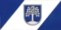 Flag of Durbe Municipality