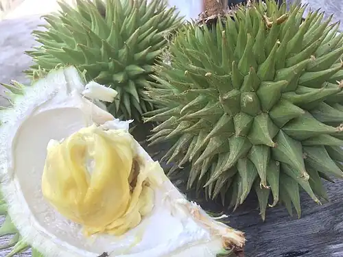 Fruit