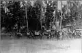 Dutch column moving forward to Denpasar.
