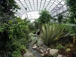 Temperate House in the Winter Gardens