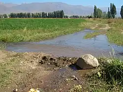 Irrigation