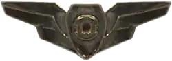 AEW&C Operator's Badge