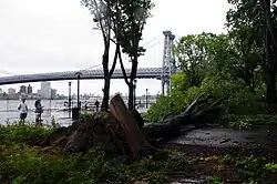 East River Sandy