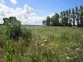 View of the ground looking south–east.