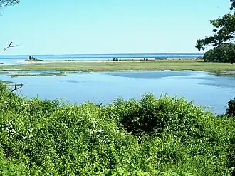Parklands