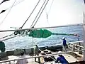 Tsunami buoy before deployment in Andaman Sea