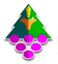 Coat of arms of Galvarino