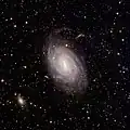 Euclid's view of spiral galaxy NGC 6744