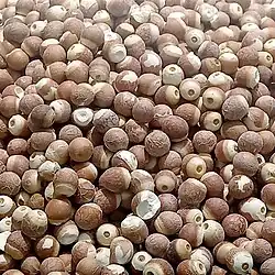 Harvested seeds