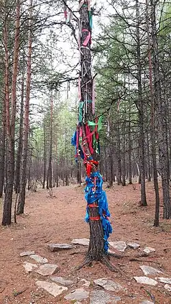 Spirit tree in Genhe, China