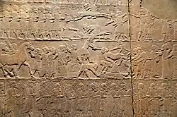 Detail
