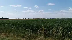 Mogyorósi Mound