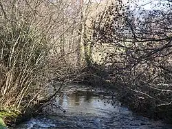 Fairytale River