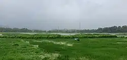 Camurlim Fields from NH17 road