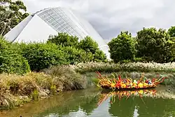 Fiori Boat (2018)