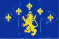 Flag of Lviv Raion