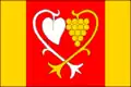 Flag of Pašovice