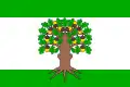 Flag of Český Dub