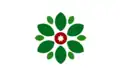 Flag of Al-Jizah