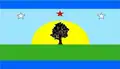 Flag of Alberto Arvelo Torrealba Municipality