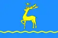 Flag of Berezhany
