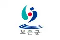 Flag of Boeun